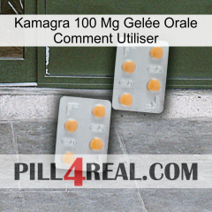Kamagra 100 Mg Gelée Orale Comment Utiliser 25